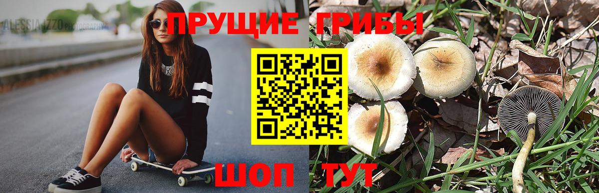 Галлюциногенные грибы Psilocybine cubensis  Галлюциногенные грибы Cubensis  Вход с VPN  Сарапул 